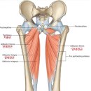 팀타이거짐 13호점 이미지