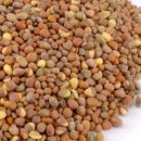 이안한방병원 이미지