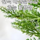 편백숲작은공간 이미지