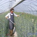 김진근농장 이미지