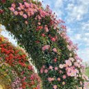 (주)꽃랜드 이미지