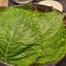 킹콩생고기 이미지