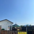 (주)힐링펫 이미지