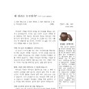 설날 가정예배 설교1/내 선조는 누구인가 이미지