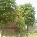 채담이네 이미지