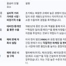 웁살라 모델(Uppsala Model) 이미지