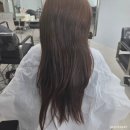 기분좋은날미용실 - 청도군 금천로 23 | 부천미용실 로와이 상동역점에서 수지 디자이너님께 전체염색 톤다운 받고 여성스러운 분위기로 변신 후기