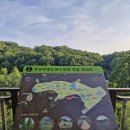 무릉도원 이미지