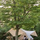 풍혈산캠핑장 이미지