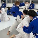 Dream of Judo 세종유도관 이미지