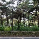 태학산자연휴양림 이미지