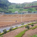 숲속정원 이미지