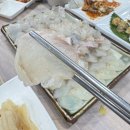 해미정횟집 | 창원 도계동 쯔끼다시 잘 나오는 해미정 횟집 솔직 방문후기