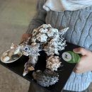 한국자연사박물관 | [공주여행] 한국자연사박물관 / 공룡 만들기 체험 / 아이랑 공주여행