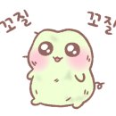 수비별빛캠핑장 이미지