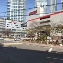 코스트코코리아 상봉점 이미지