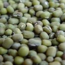 녹두 이미지