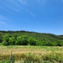 부동축사 이미지