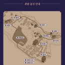 애련정 | 창덕궁 달빛기행 나도 부모님도 만족한 후기 꿀팁 정보 (2026 예매 응모 일정 가격 티켓링크)