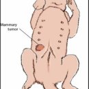 양천종합동물병원 이미지