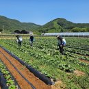(주)동방아그로 농기자재신문
