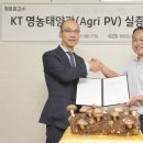 청운 태양광발전소 이미지