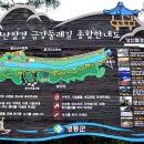 제53차 정기산행-충북 영동 양산팔경(금강둘레길) 이미지