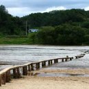 문경 선성김씨 고택 | 영주 '무섬마을', 360년 전통의 마을, 폭 20cm 길이 150m, S자 외나무다리, 매년 10월 축제