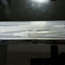 코끼리약국 이미지