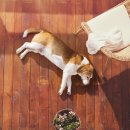 시원메디컬센타 이미지