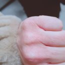 김동건피부과의원