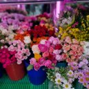 한아름김밥 이미지