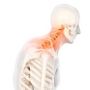 종로본정형외과의원 이미지