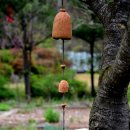 춤추는꽃동네 이미지