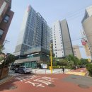 강남-225 이미지
