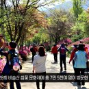 달성군, 비슬산 참꽃 문화제 7만 5천 여명 방문 성료 이미지