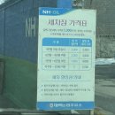 태백농협주유소 이미지