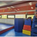 용인대 가온 태권도 이미지