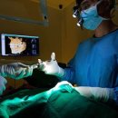 형치과교정과치과의원 이미지