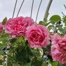 비엔베뉴 이미지