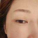 아리아뷰티살롱 | 아리아 뷰티살롱 대구 속눈썹펌