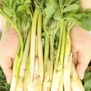 두름농장 이미지