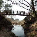 중마교