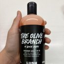 WHAT’S NEXT? | what’s in my 샤워 바구니