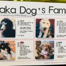 타카독스 커피 이미지