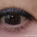 도트앤플로우 이미지