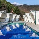 더라이온 - 6569 | 더라이온