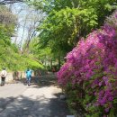 계남근린공원 이미지