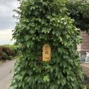 은하 민박 이미지