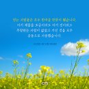 [CTS 말씀이미지] 사도행전 4장 32절 #말씀이미지 #감경철 #CTS #핸드폰배경화면 이미지